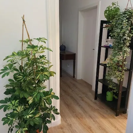 Hostel D&n Hospedagem-almirante Lisboa